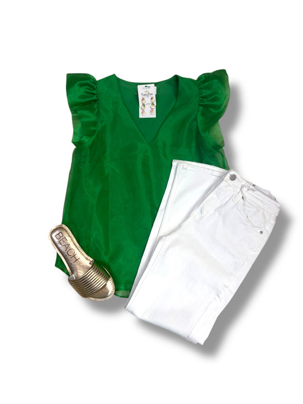 Organza Ruffle Sleeve V Neck Top in 4 Colors
