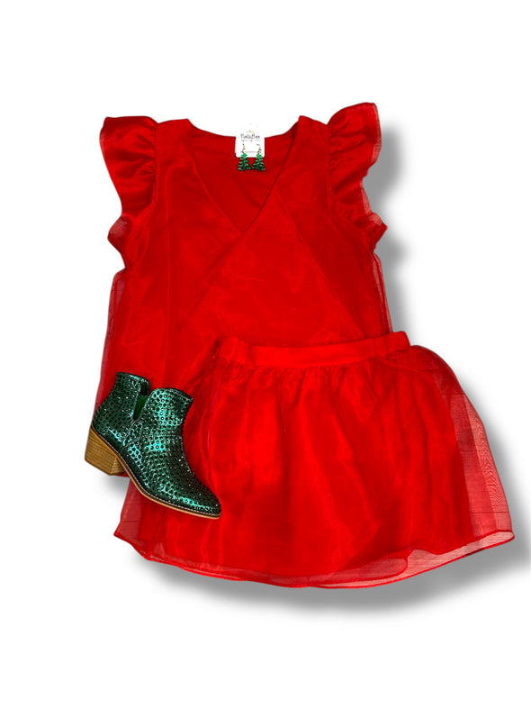 Organza Ruffle Sleeve V Neck Top in 4 Colors