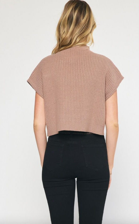Solid Knitted Mock Neck Cropped Top In 3 Colors