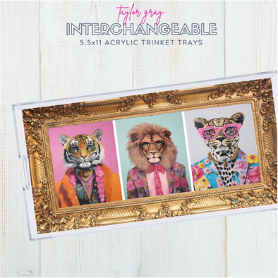 Themed Acrylic Tray INSERTS ONLY in 2 Sizes