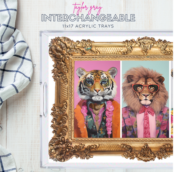 Themed Acrylic Tray INSERTS ONLY in 2 Sizes