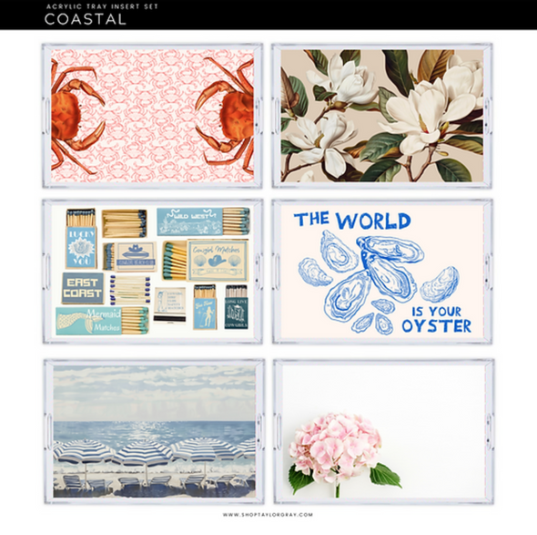 Themed Acrylic Tray INSERTS ONLY in 2 Sizes